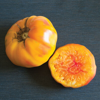 Tomato, Striped German (red & yellow heirloom slicer)