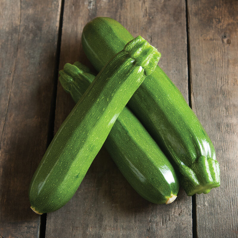 Squash, Zucchini Spineless Perfection