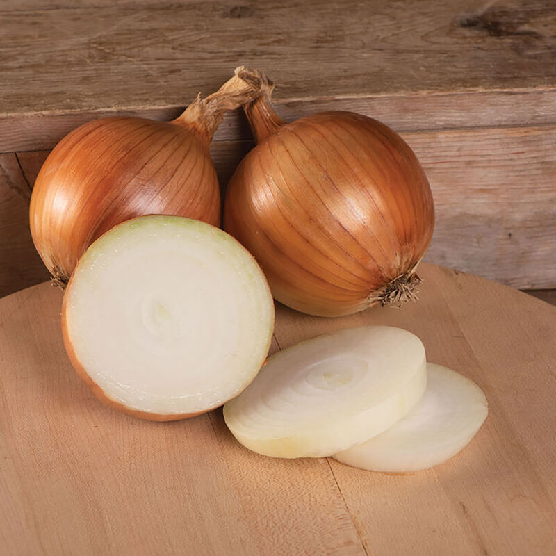 Onions, Amber