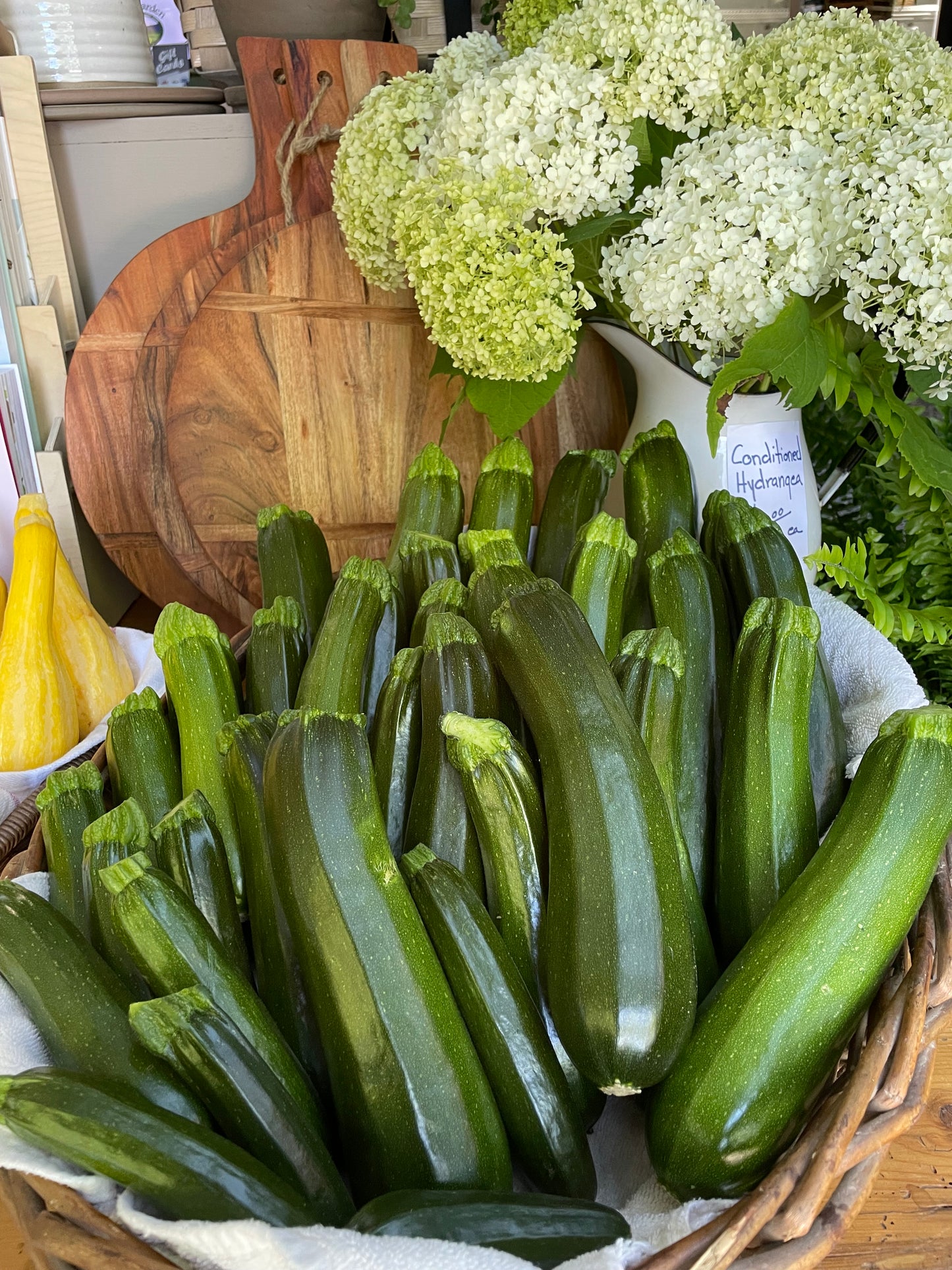 Squash, Zucchini Spineless Perfection