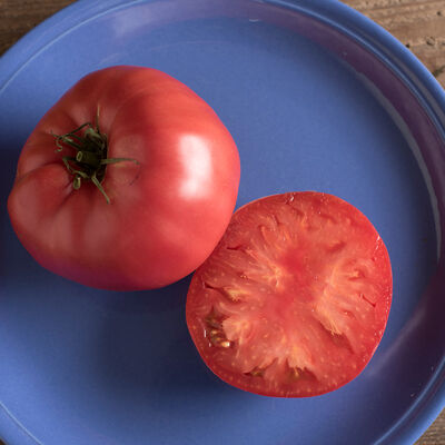 Tomato, Brandywine (red heirloom slicer)