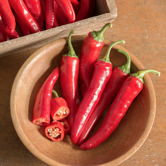 Pepper, Red Ember Cayenne