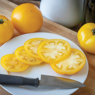 Tomato, Lemon Boy Plus (yellow slicer)