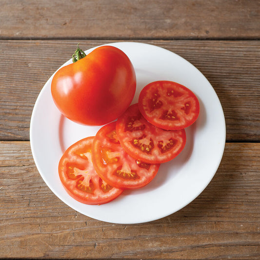 Tomato, Caiman (red slicer)