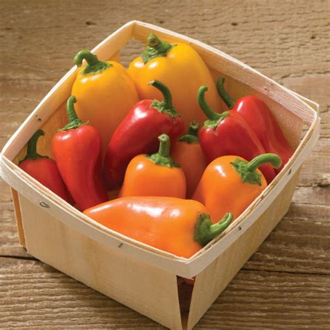 Pepper, Picnic Pepper Mix