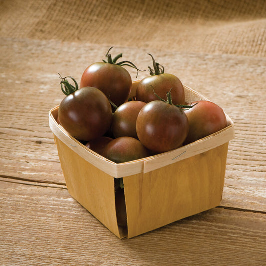 Tomato, Black Cherry