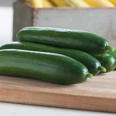 Cucumber, Diva