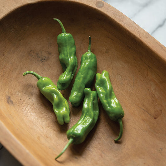 Pepper, Shishito