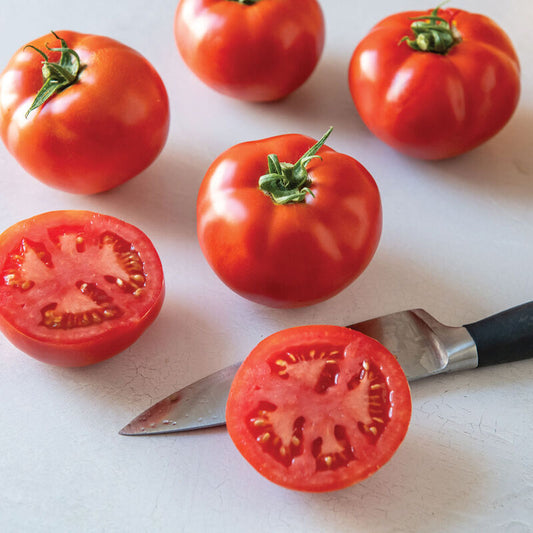 Tomato, Celebrity Plus (red slicer)